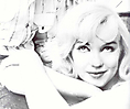 Marilyn Monroe (562)
