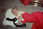 Marilyn Monroe (762)